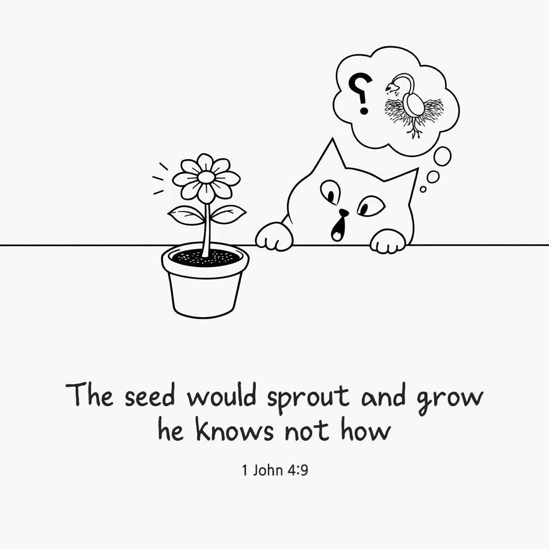 The seed would sprout and grow, he knows not how. (Mark 4:27) pieonane Daily Bible quote image