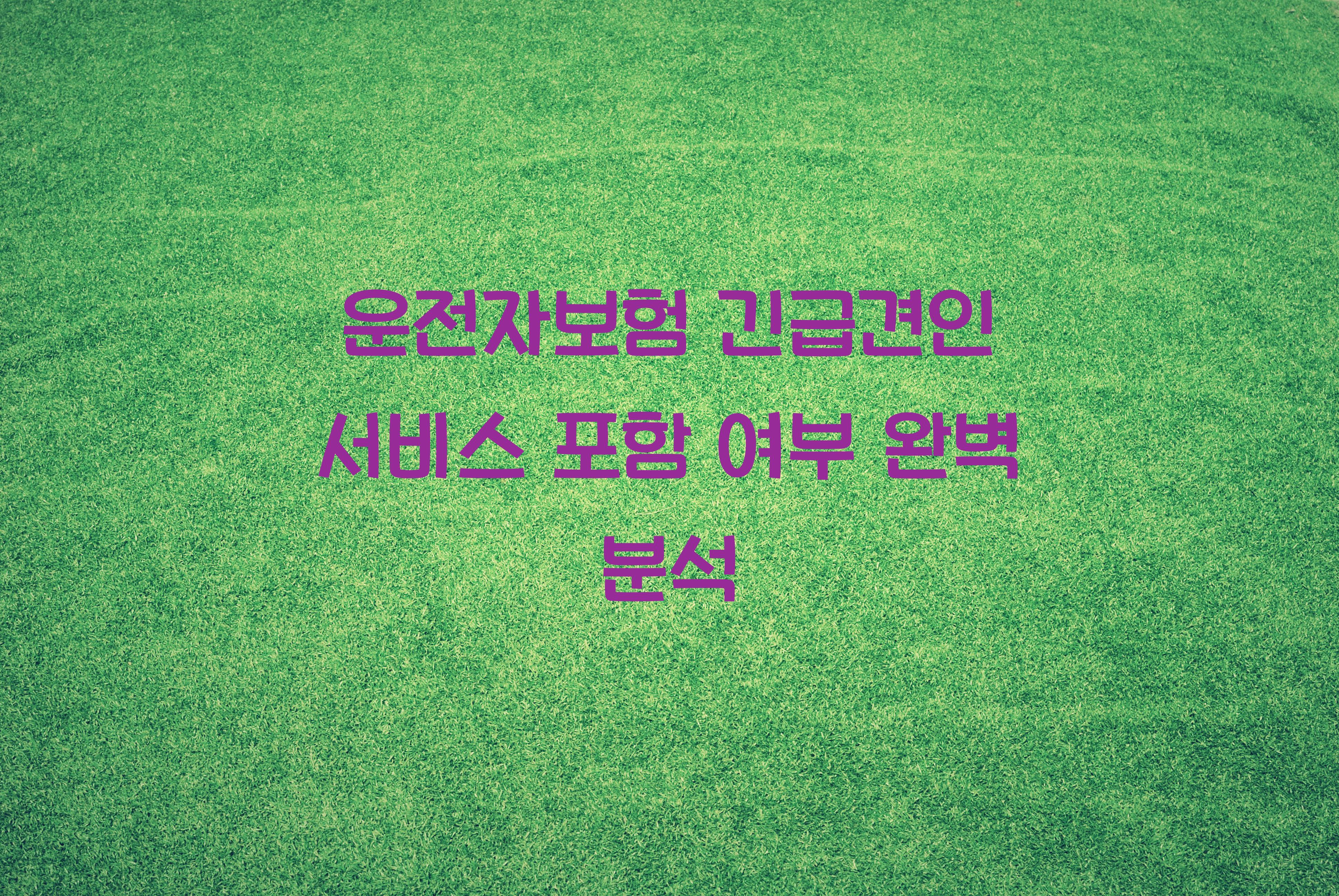 운전자보험 긴급견인 서비스 포함 여부