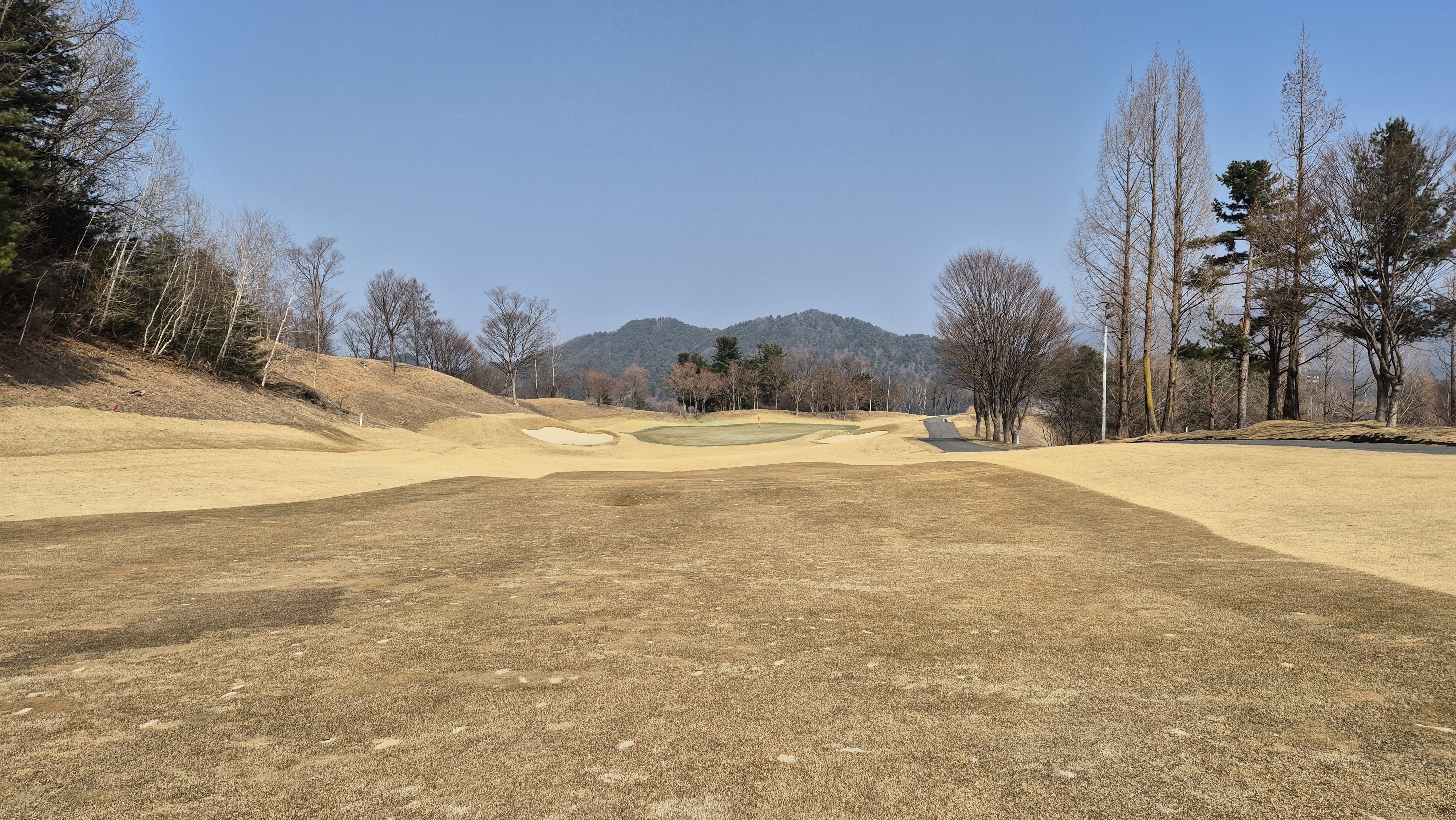 아난티코드gc 잣나무-느티나무 코스 사진 및 공략 정보