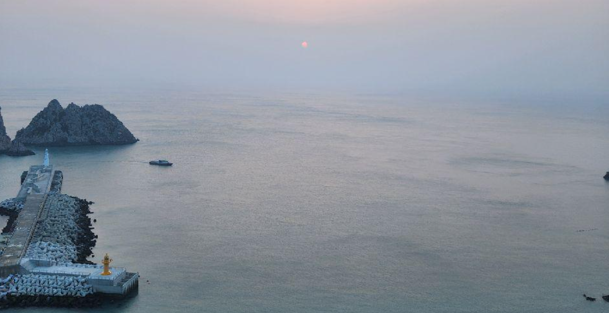 홍도 배시간표, 홍도 배편 예약