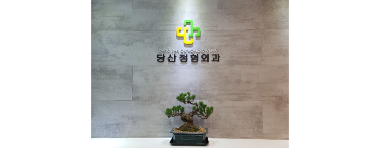 서울 영등포구 정형외과