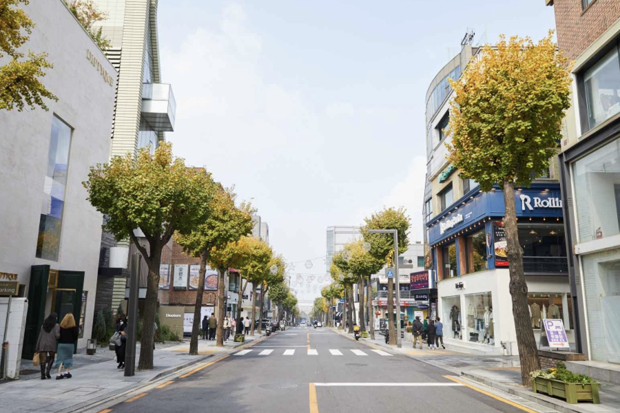 신사동 가로수길 이미지