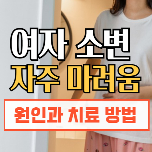 여자소변자주마려움 원인 및 치료법