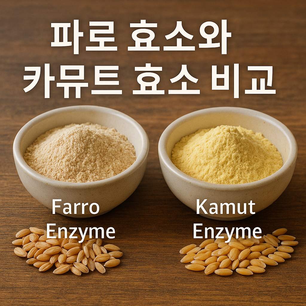 파로효소와 카뮤트효소 비교｜성분&middot;효능&middot;섭취법&middot;부작용 한눈정리