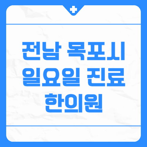 전남 목포시 일요일 진료 한의원