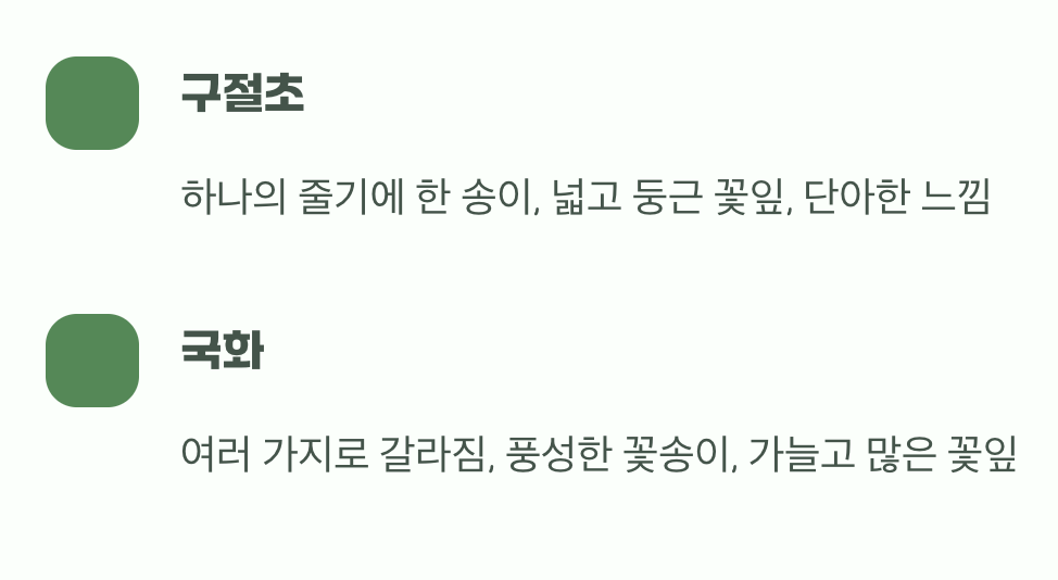 자세히 보면 다른 꽃 모양