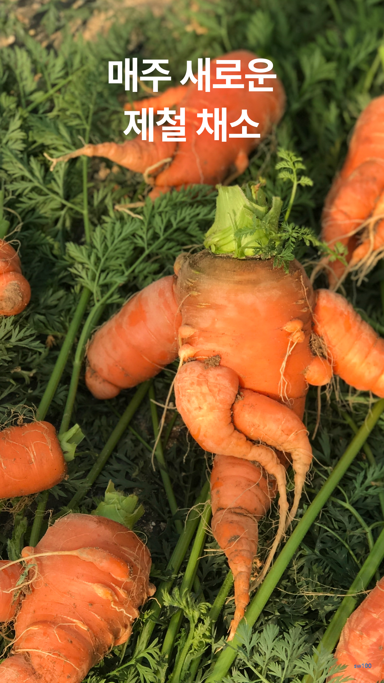 어글리어스 살펴보기 2