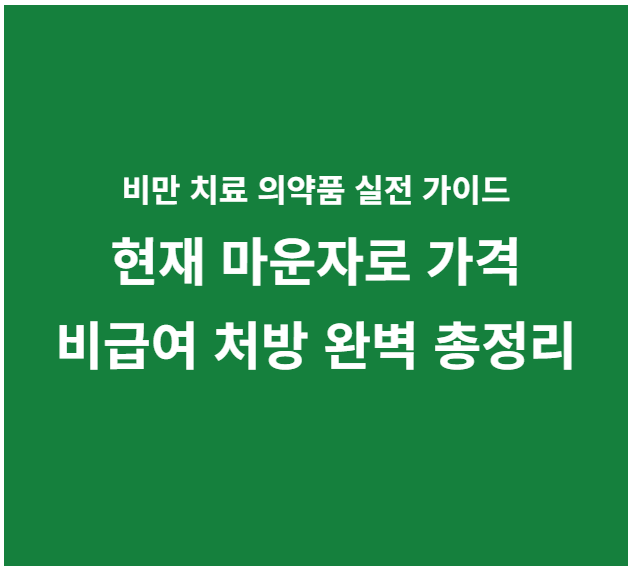 마운자로 가격, 비급여 처방