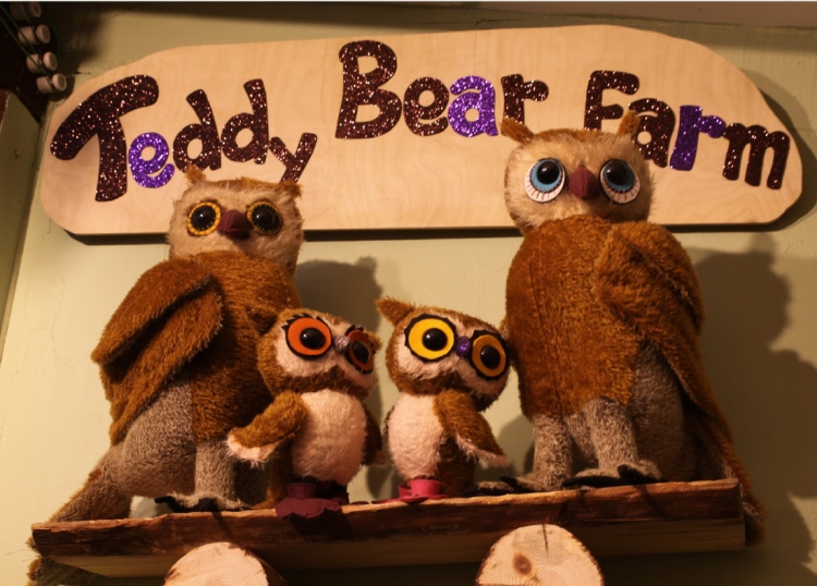 속초 테디베어팜