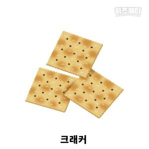 입덧에 좋은 음식