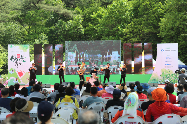 용문산 산나물 축제