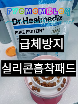 강아지급체방지식기패드