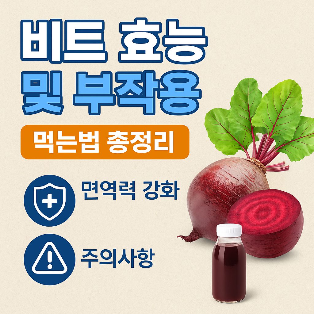 비트 효능과 부작용, 먹는법을 정리한 대표 이미지로 면역력 강화와 주의사항을 강조한 디자인