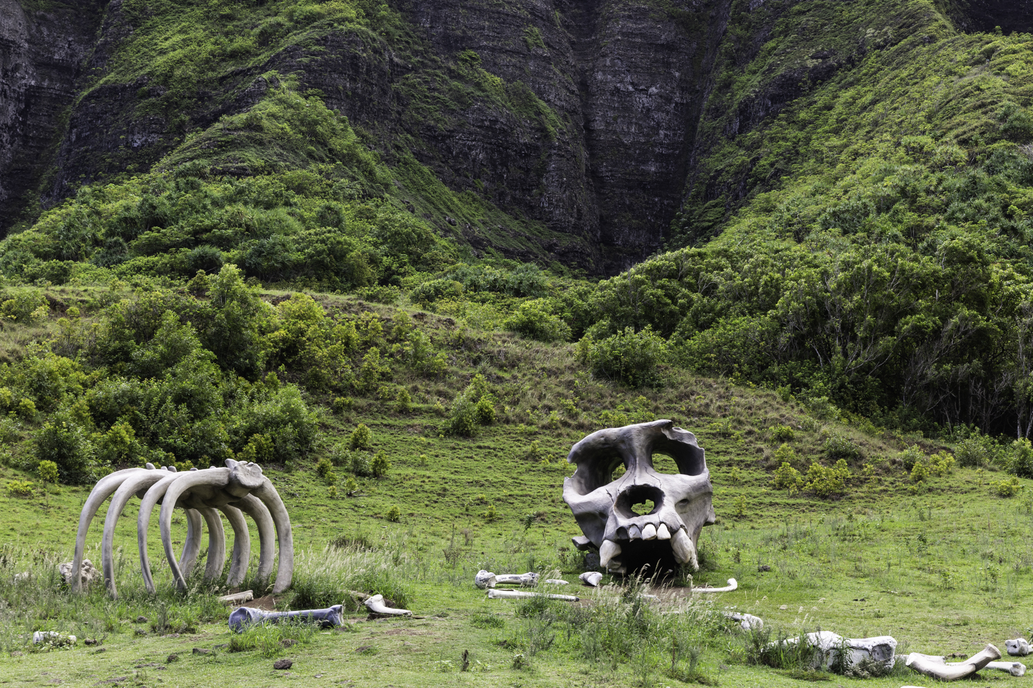 쿠알로아랜치 무비 사이트 투어