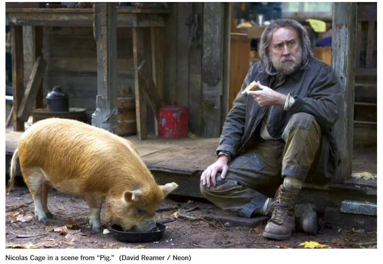 니콜라스 케이지와 영화 '피그' VIDEO: What Makes Pig (2021) A Masterpiece