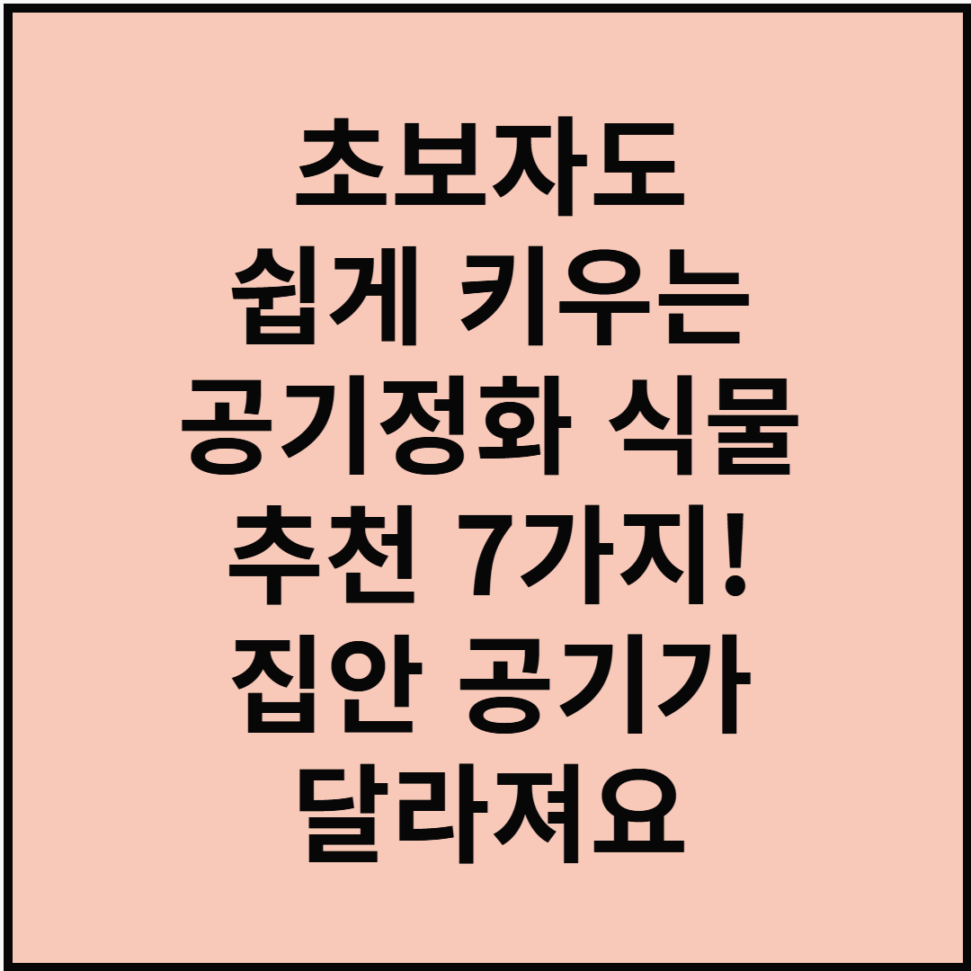 초보자도 쉽게 키우는 공기정화 식물 추천 7가지! 집안 공기가 달라져요