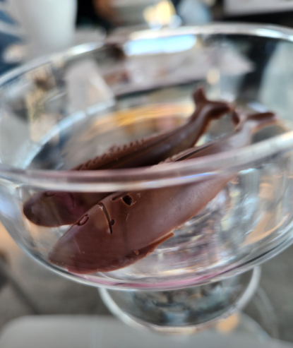 생생정보 스타의고장 경남 거제시 내도 여행 정보 내도 멸치초콜릿 제트보트 유경식당