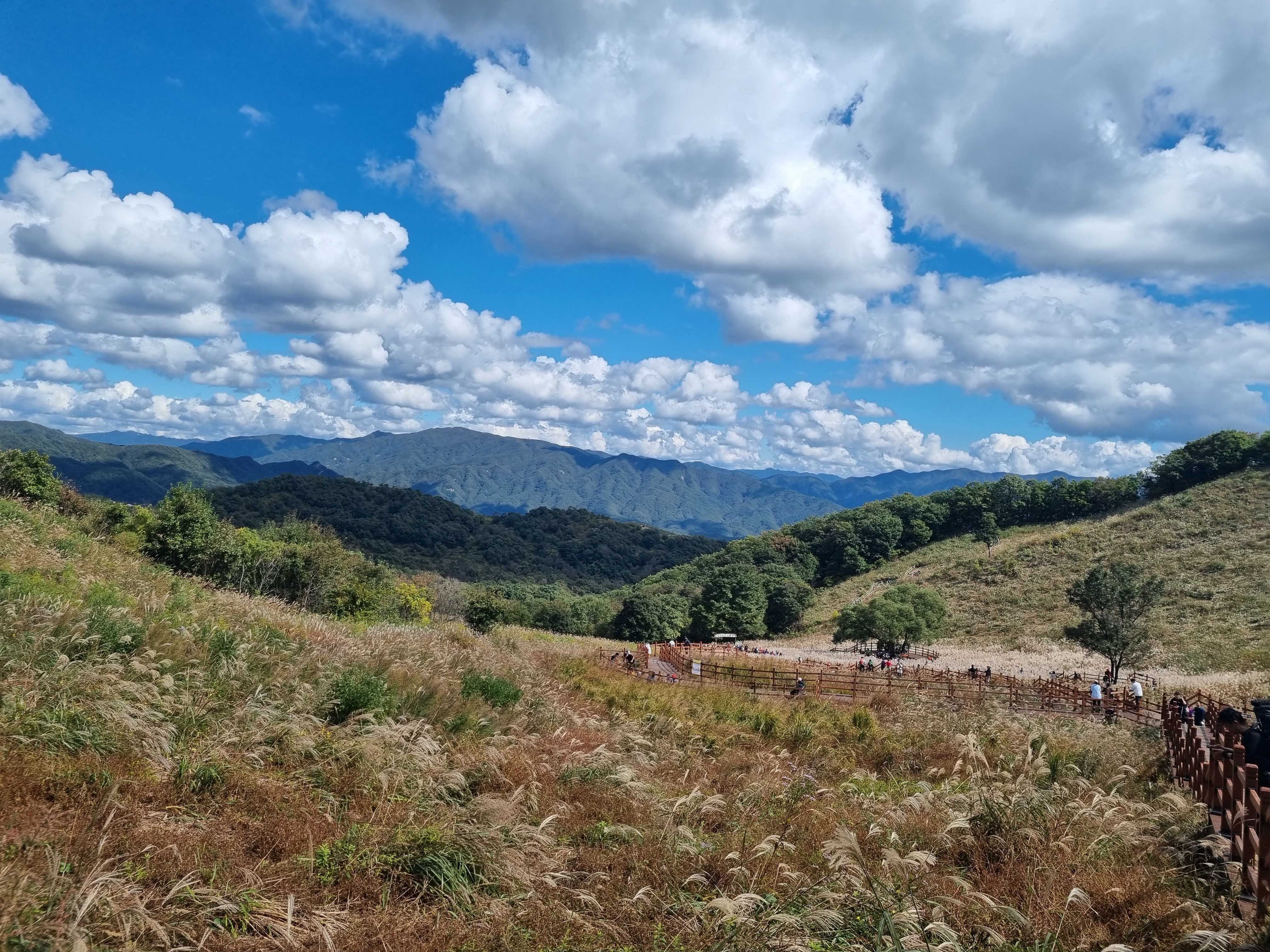 명성산 억세축채