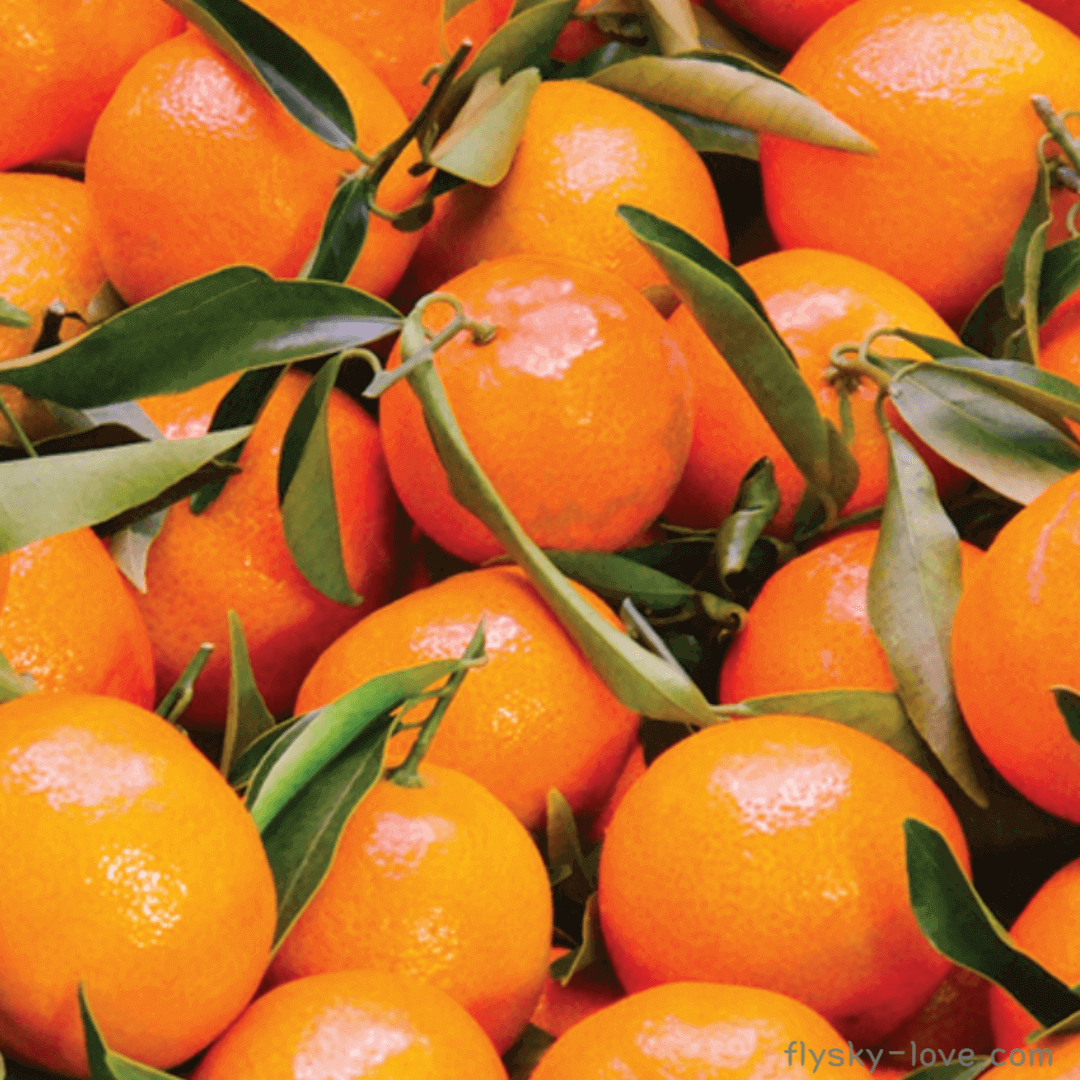 만다린 (mandarin)