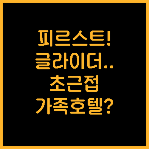 스위스 피르스트 펀 패키지 글라이더 ..
