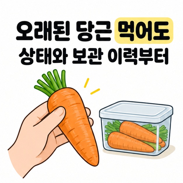 오래된 당근 먹어도라는 제목과 상태와 보관 이력부터라는 설명 아래 손으로 당근을 살피고 옆에 당근 보관 용기를 둔 모습