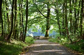 핸드폰 사진 컴퓨터로 옮기는 가장 쉬운 방법 총정리