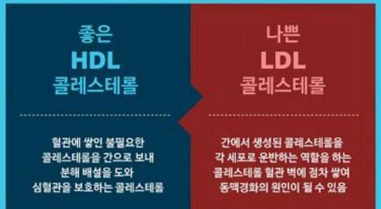 콜레스테롤 낮추는 음식