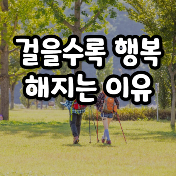 걷기운동