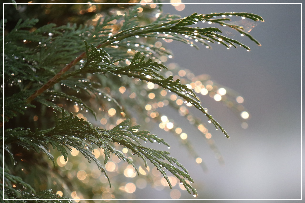 한 번에 크게 벌까, 꾸준히 벌까