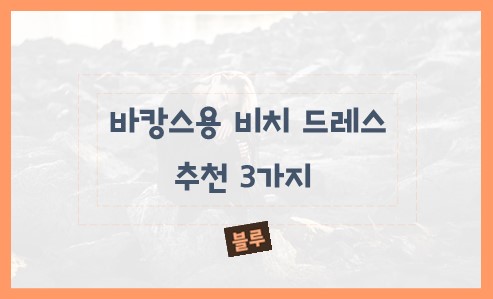 바캉스용 비치 드레스 추천 3가지