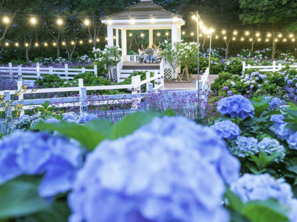 장생포 수국축제