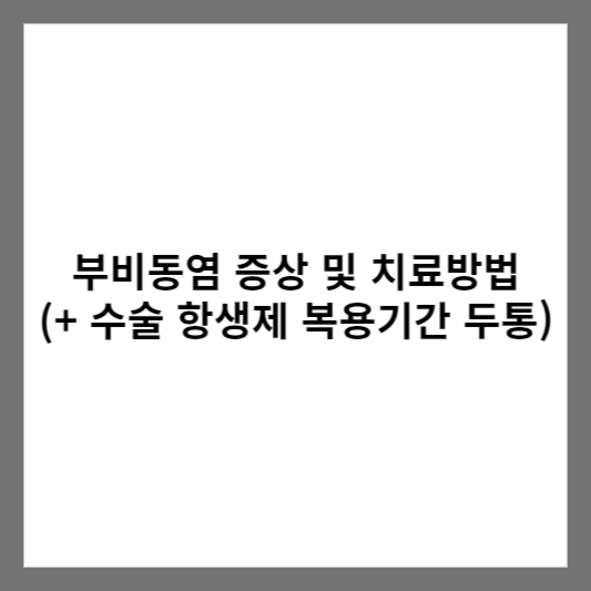부비동염 증상 및 치료방법 (+ 수술 항생제 복용기간 두통)