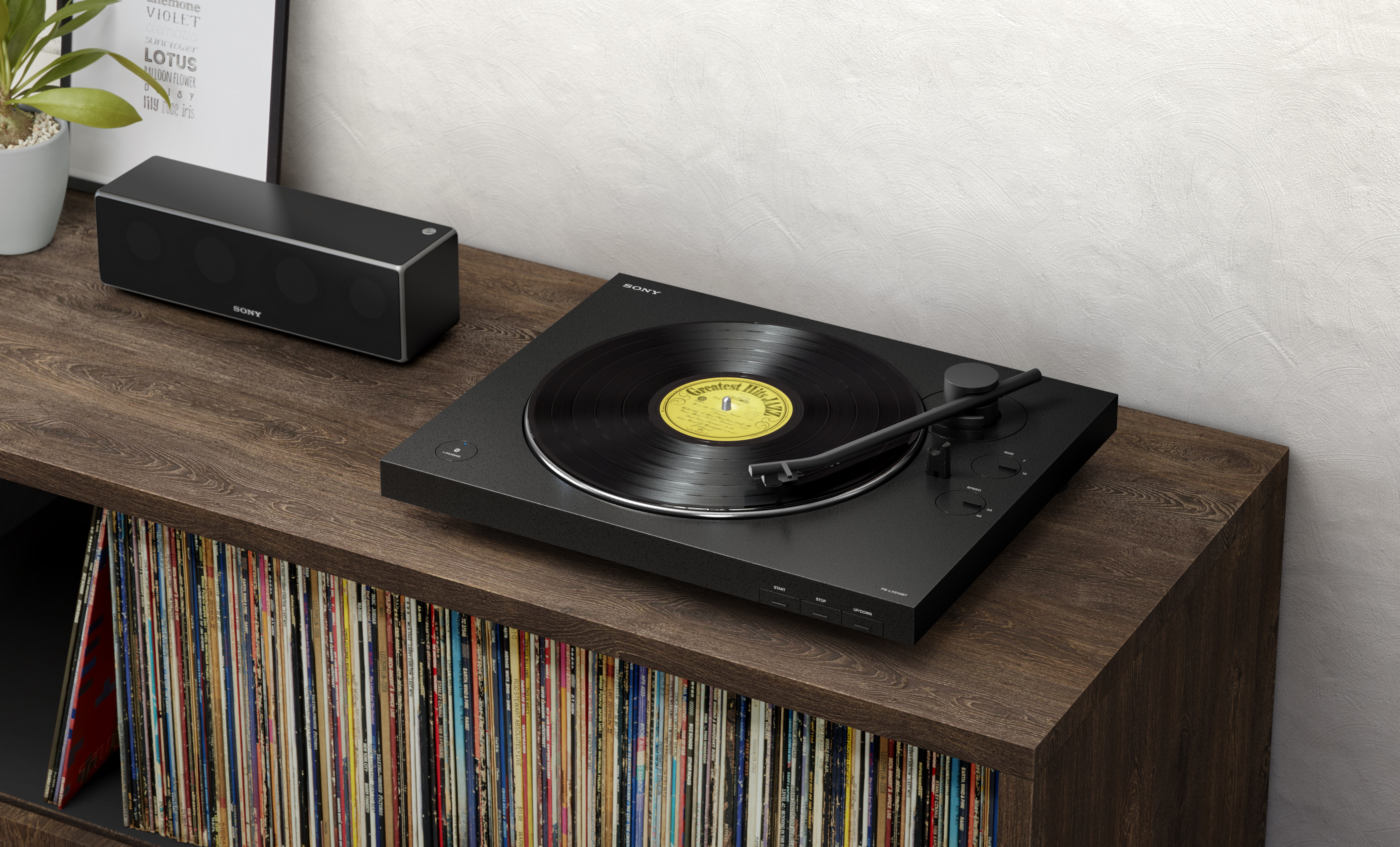 PS-LX310BT