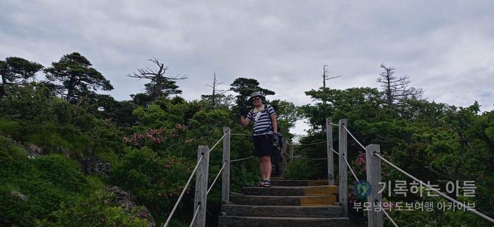 목재 계단 위에서 뒤돌아 웃는 남성, 주변에 진달래가 만개