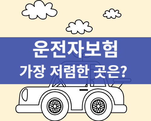 운전자보험 비교
