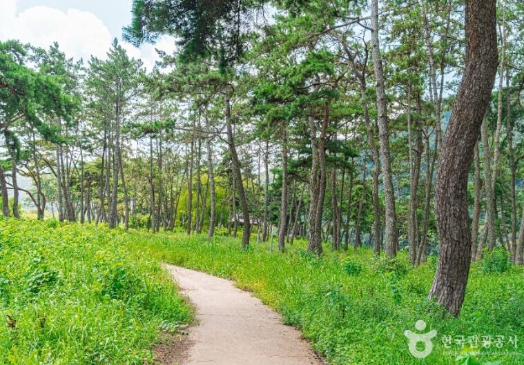 나주 가볼만한곳 베스트 10
