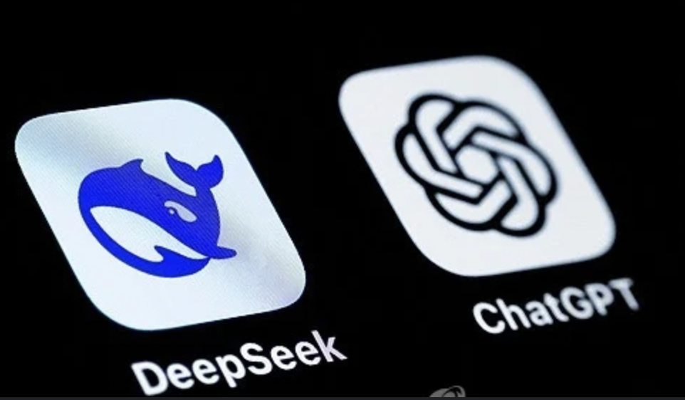 딥시크(DeepSeek)란 무엇인가? 장단점 분석
