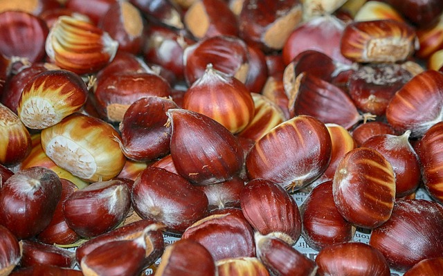 명치가 막힌듯한 느낌 8