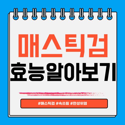 매스틱검