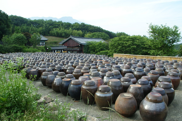 서운암 장독대