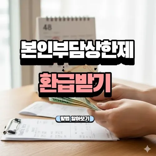 본인부담상한제 환급, 잠자는 내 병원비 돌려받기 (최대 수백만 원 환급받는 비법)