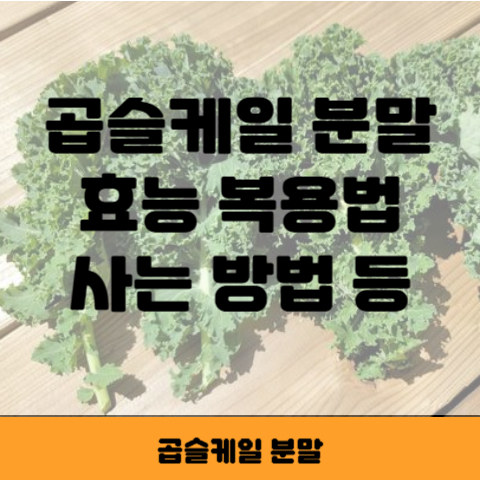 곱슬케일 썸네일