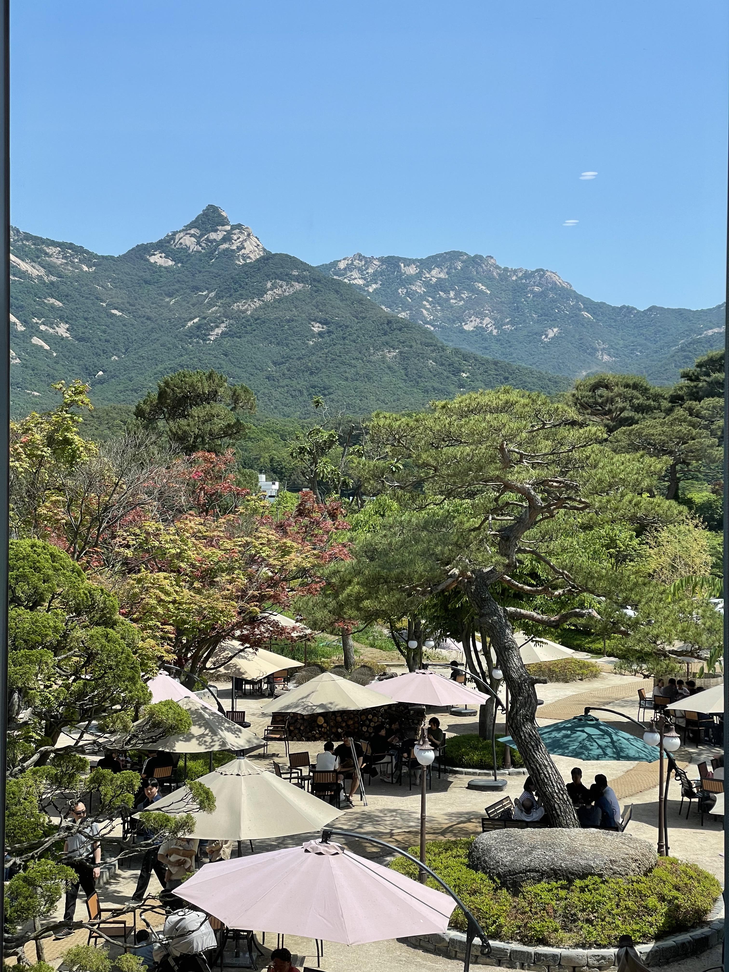 파노라마 베이커리 카페