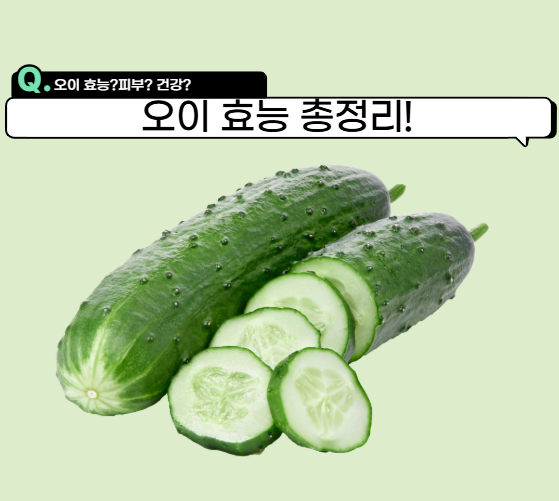 오이 효능