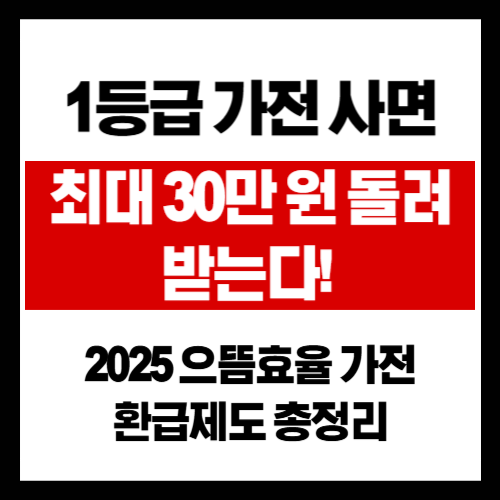 1등급 가전 사면 최대 30만 원 돌려받는다! 2025 으뜸효율 가전 환급제도 총정리