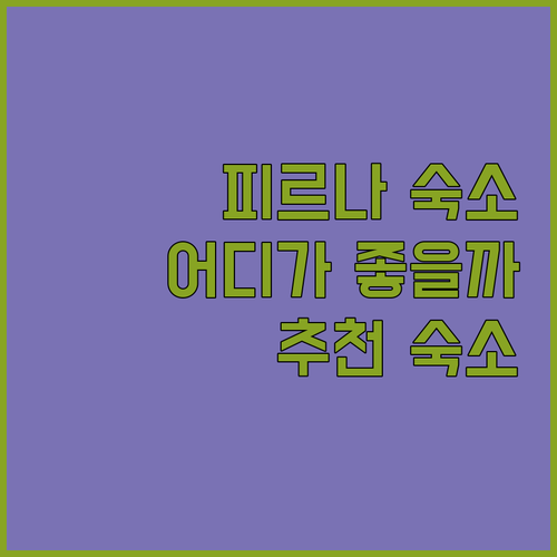 피르나 숙소 고민 끝 호텔 엘브파라디..