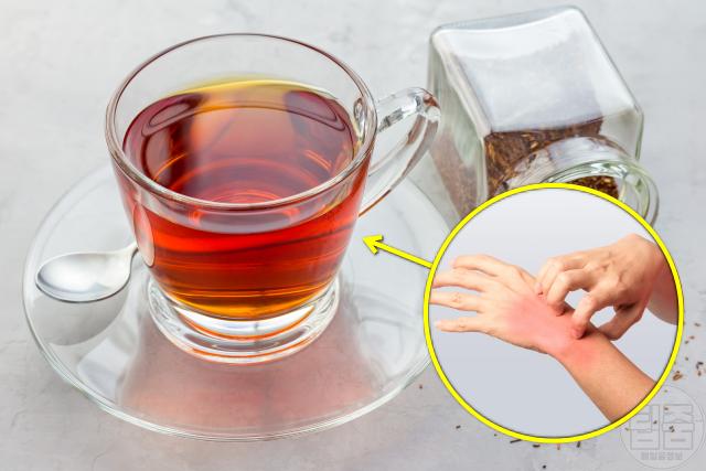 건성피부 좋은 음식 루이보스차