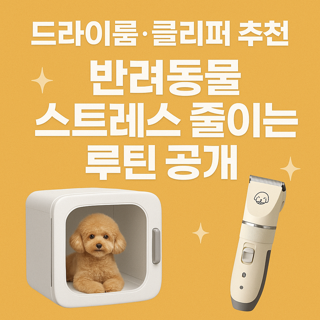 드라이룸&middot;클리퍼