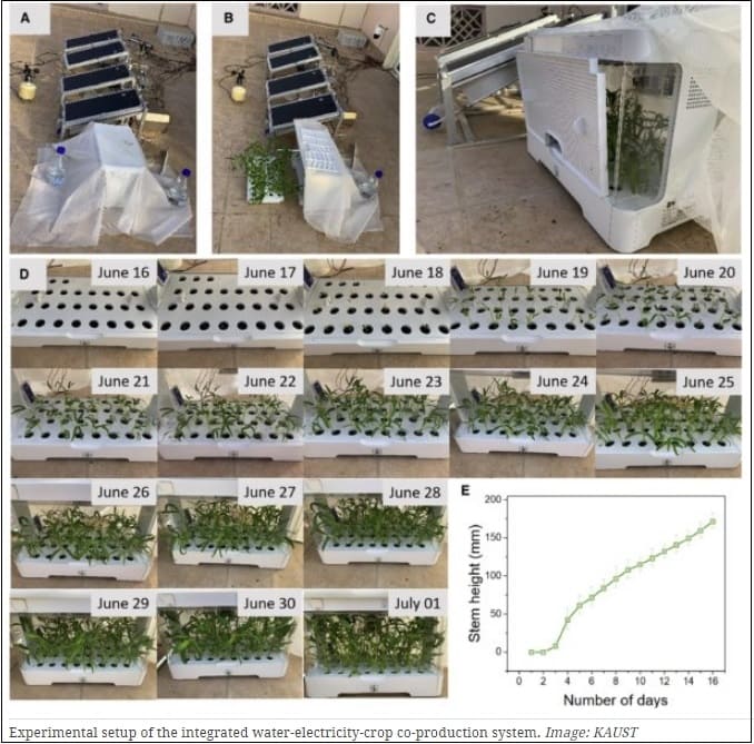 사우디 연구팀, 대기 중에서 물 생산하는 PV 동력 시스템 개발 Fully PV-driven system to produce water, electricity, crops