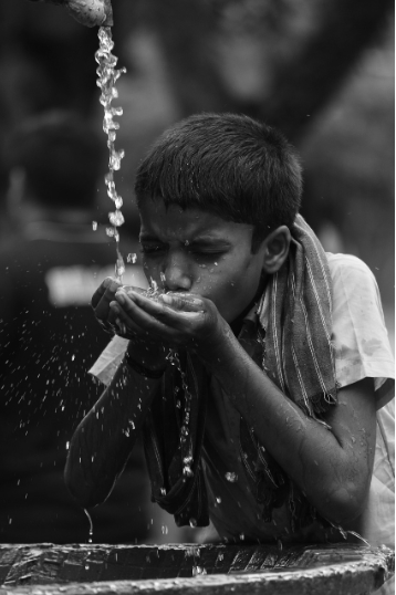 깔다구 유충이란?